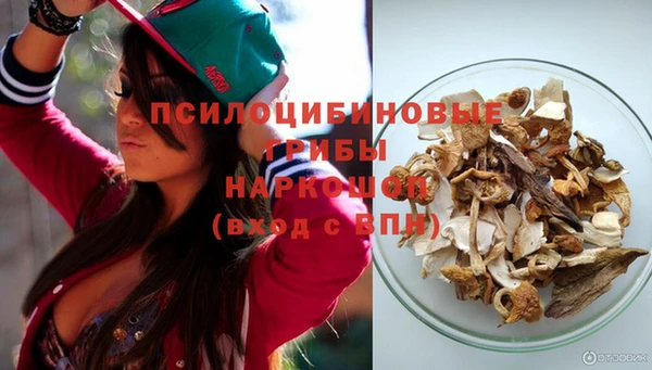 ПСИЛОЦИБИНОВЫЕ ГРИБЫ Балахна