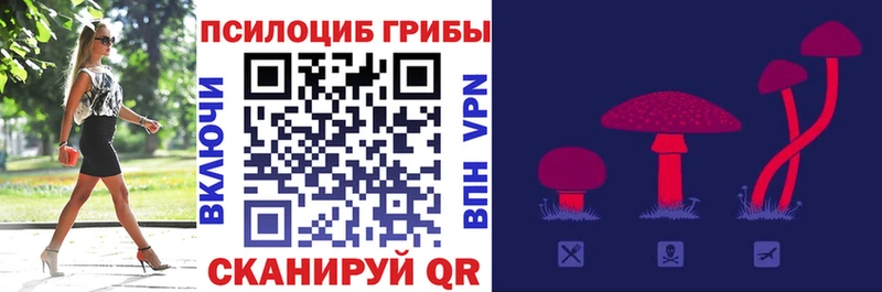 Псилоцибиновые грибы мицелий  купить закладку  Озёры 